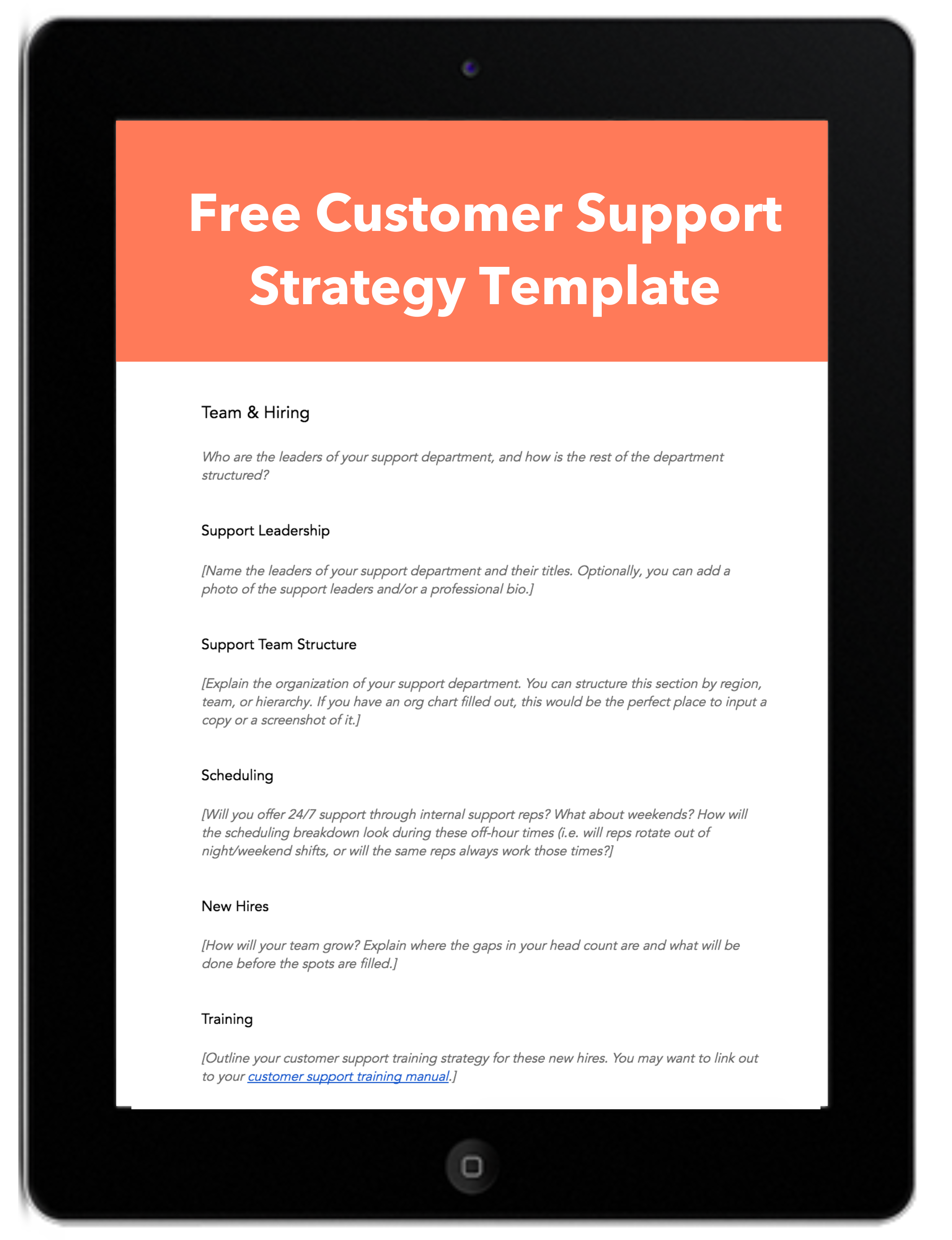 Customer Support: Definition, Importance, + Strategies